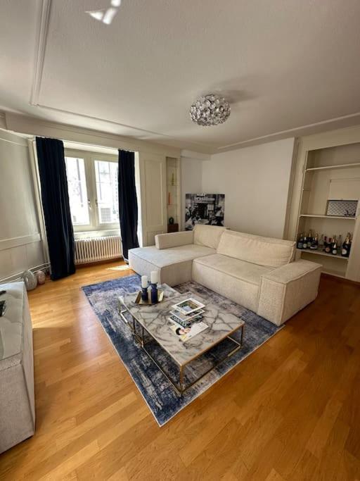 Cozy Apartment In Oldtown Zurich5 Ngoại thất bức ảnh