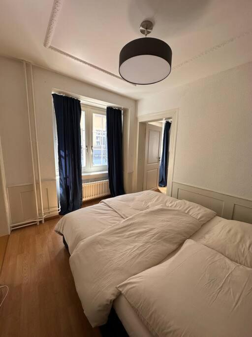 Cozy Apartment In Oldtown Zurich5 Ngoại thất bức ảnh